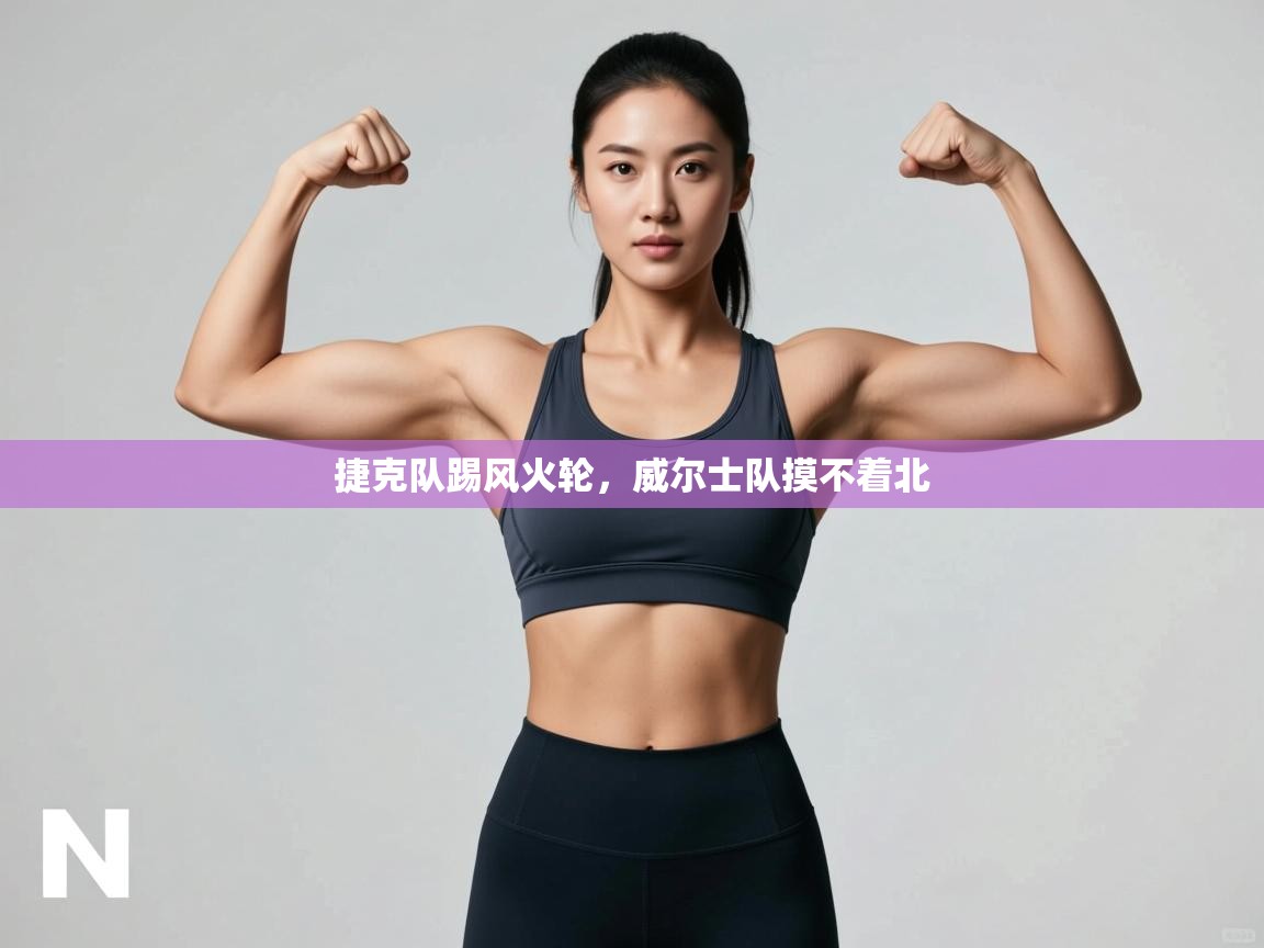 捷克队踢风火轮，威尔士队摸不着北  第2张